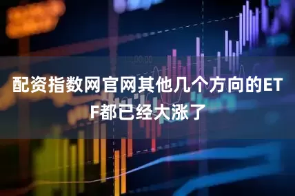 配资指数网官网其他几个方向的ETF都已经大涨了